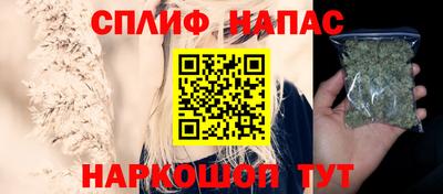 стафф Будённовск