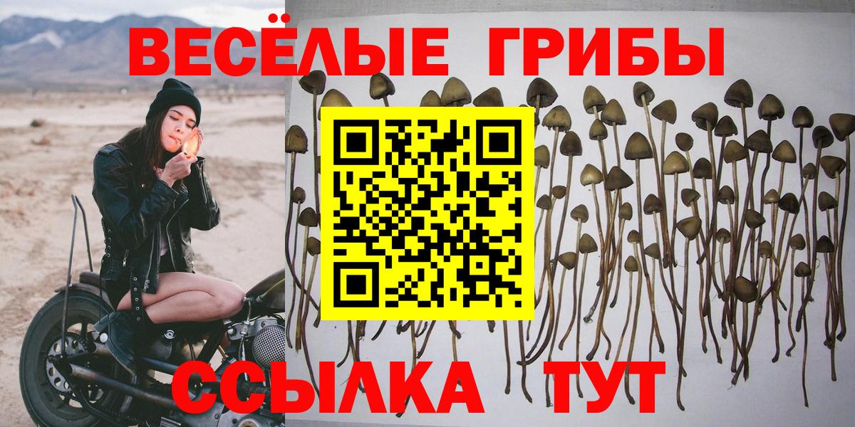 Саянск  Псилоцибиновые грибы Psilocybine cubensis  Вход с VPN 