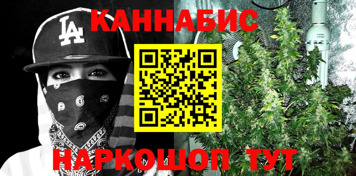 Бошки марихуана SATIVA & INDICA  МАРИХУАНА план  Саянск  Канабис гибрид  Вход с VPN 